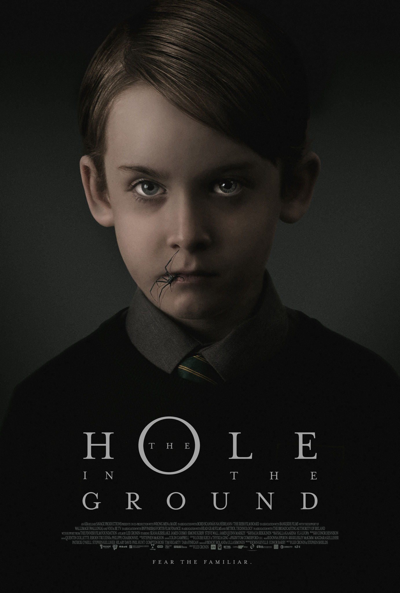 The Hole In The Ground Main Poster