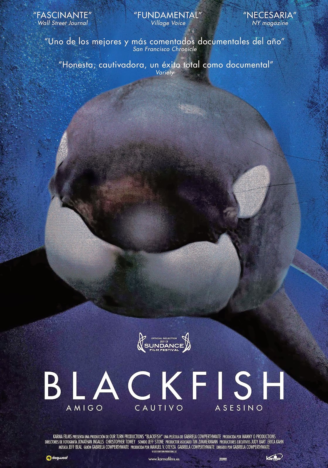 Blackfish Main Poster