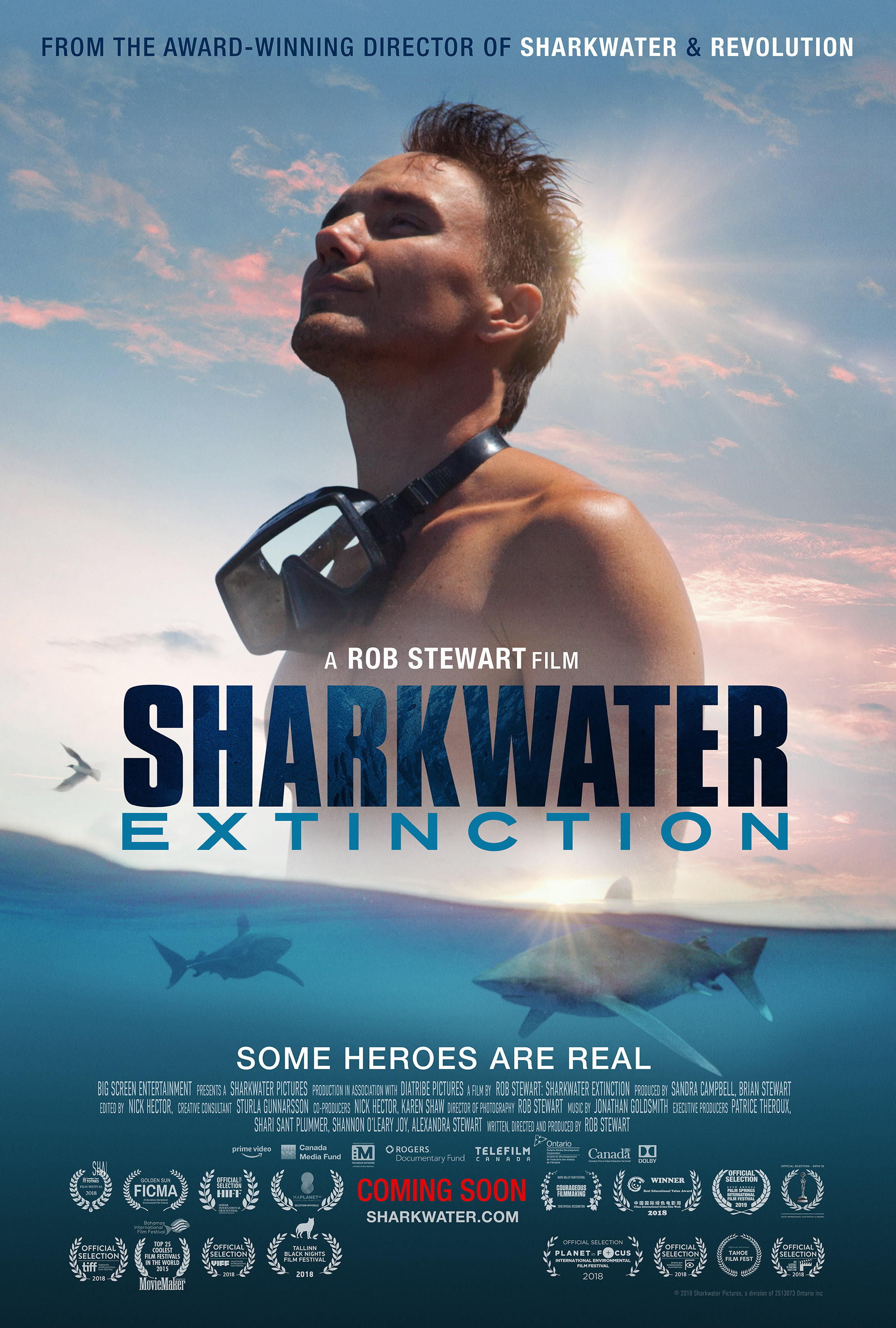 Sharkwater Main Poster