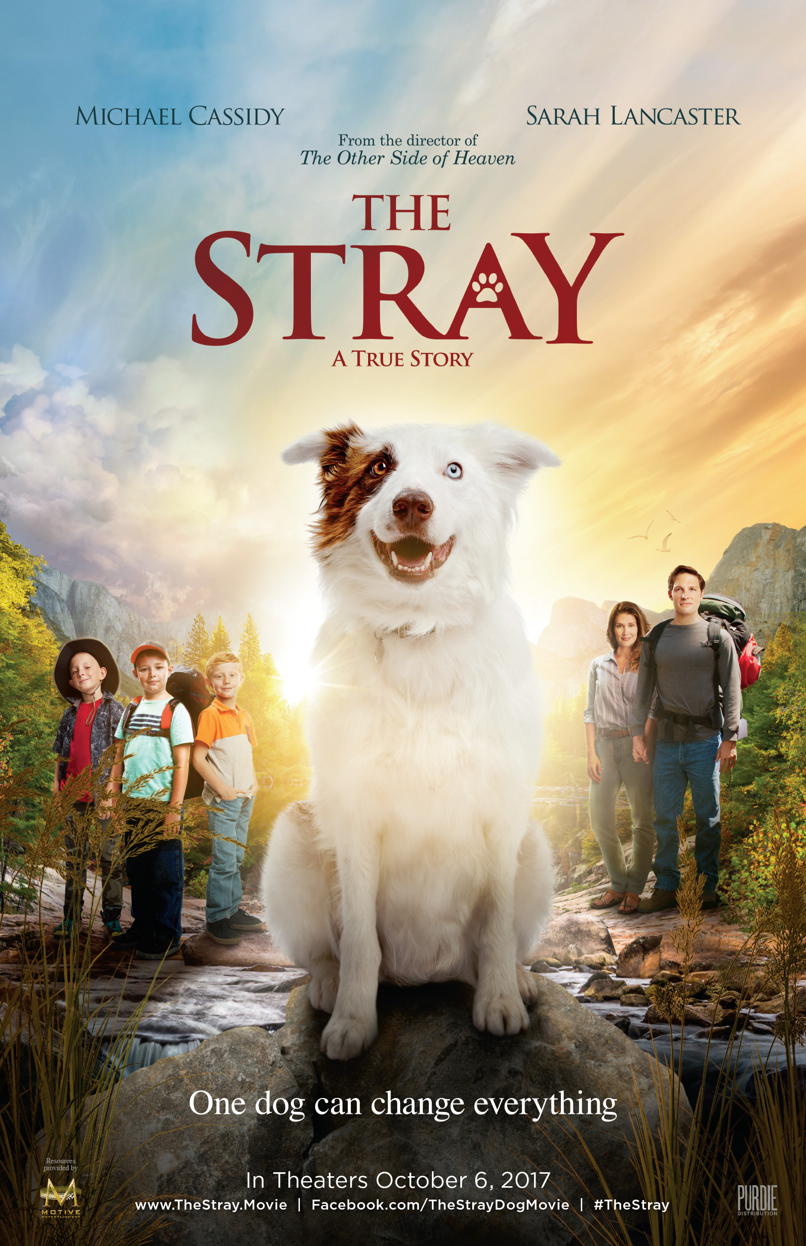 The Stray (2017) Main Poster