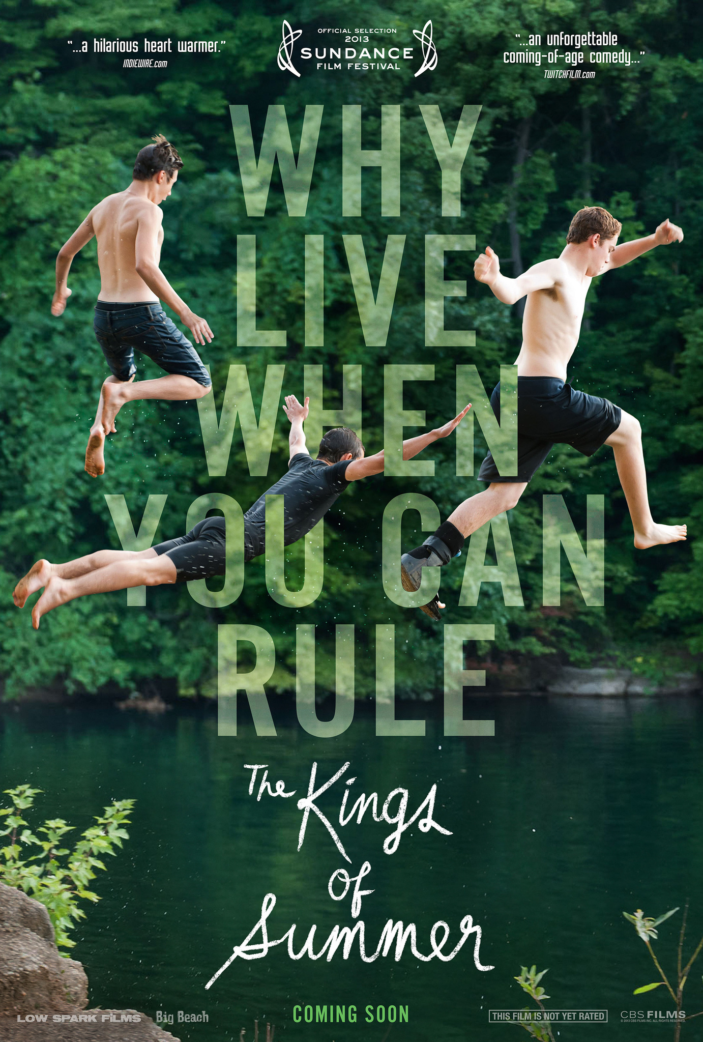 The Kings Of Summer Main Poster