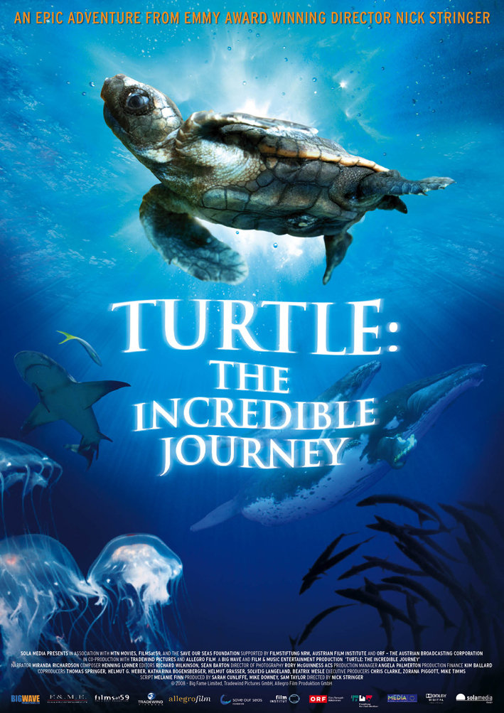 Turtle: The Incredible Journey Main Poster