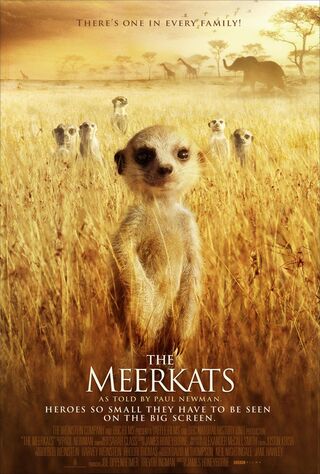 Meerkats (2011) Main Poster
