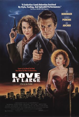 Love At Large (1990) Main Poster