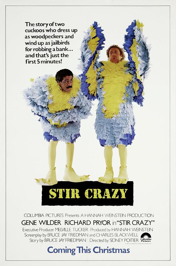 Stir Crazy Main Poster
