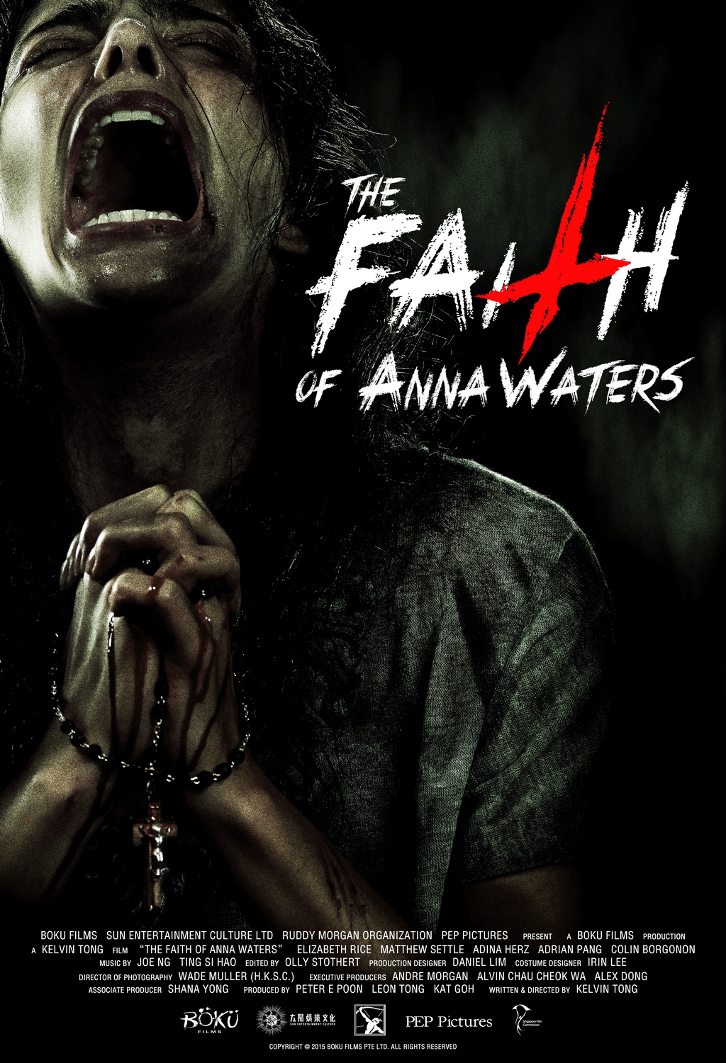 The Faith Of Anna Waters Main Poster