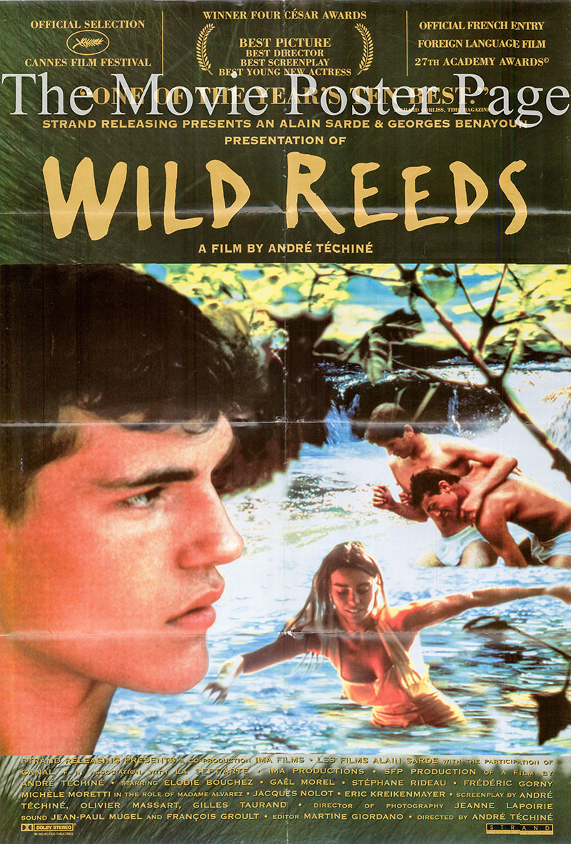 Wild Reeds (1995) Main Poster