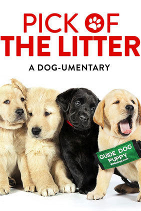 Pick Of The Litter Main Poster
