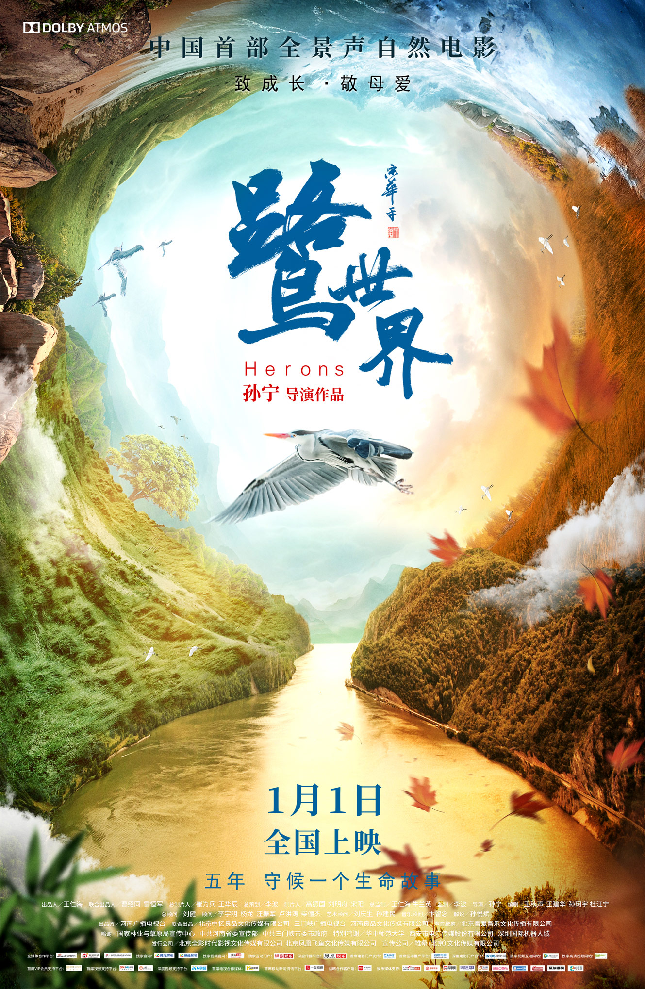 Herons Main Poster
