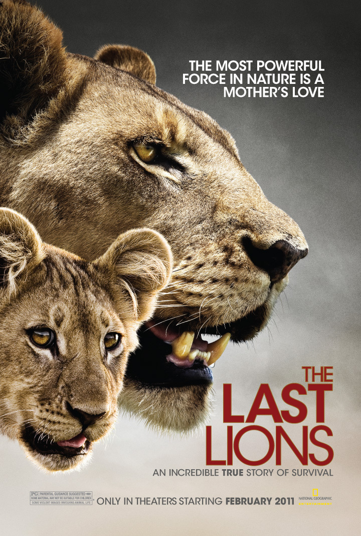 The Last Lions Main Poster