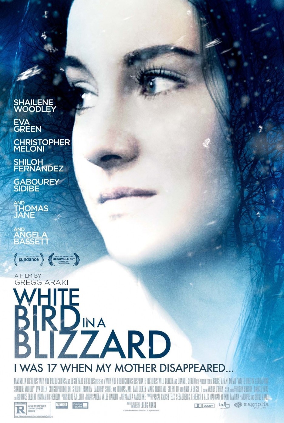 White Bird In A Blizzard Main Poster