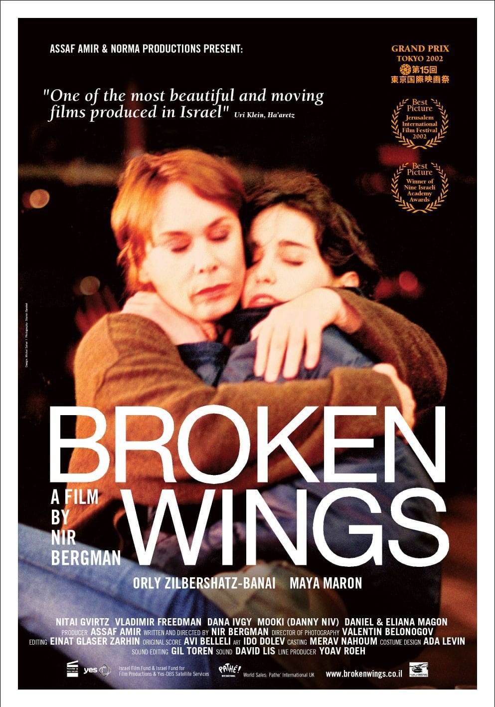 Broken Wings Main Poster