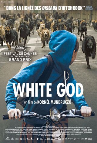 White God (2014) Main Poster
