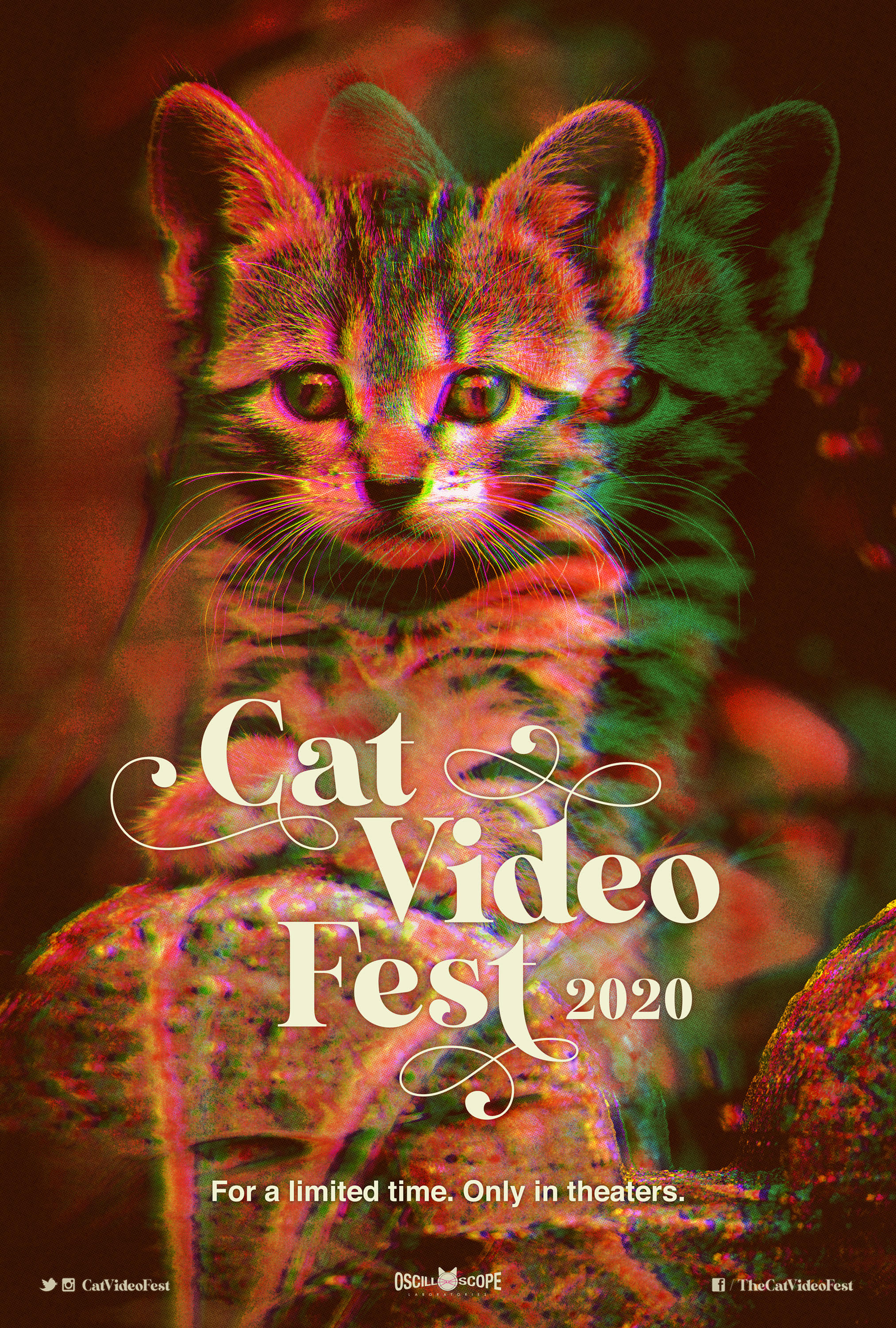 CatVideoFest 2020 Main Poster