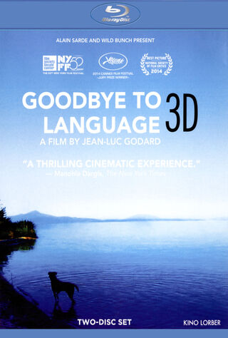 Goodbye To Language (2014) Main Poster