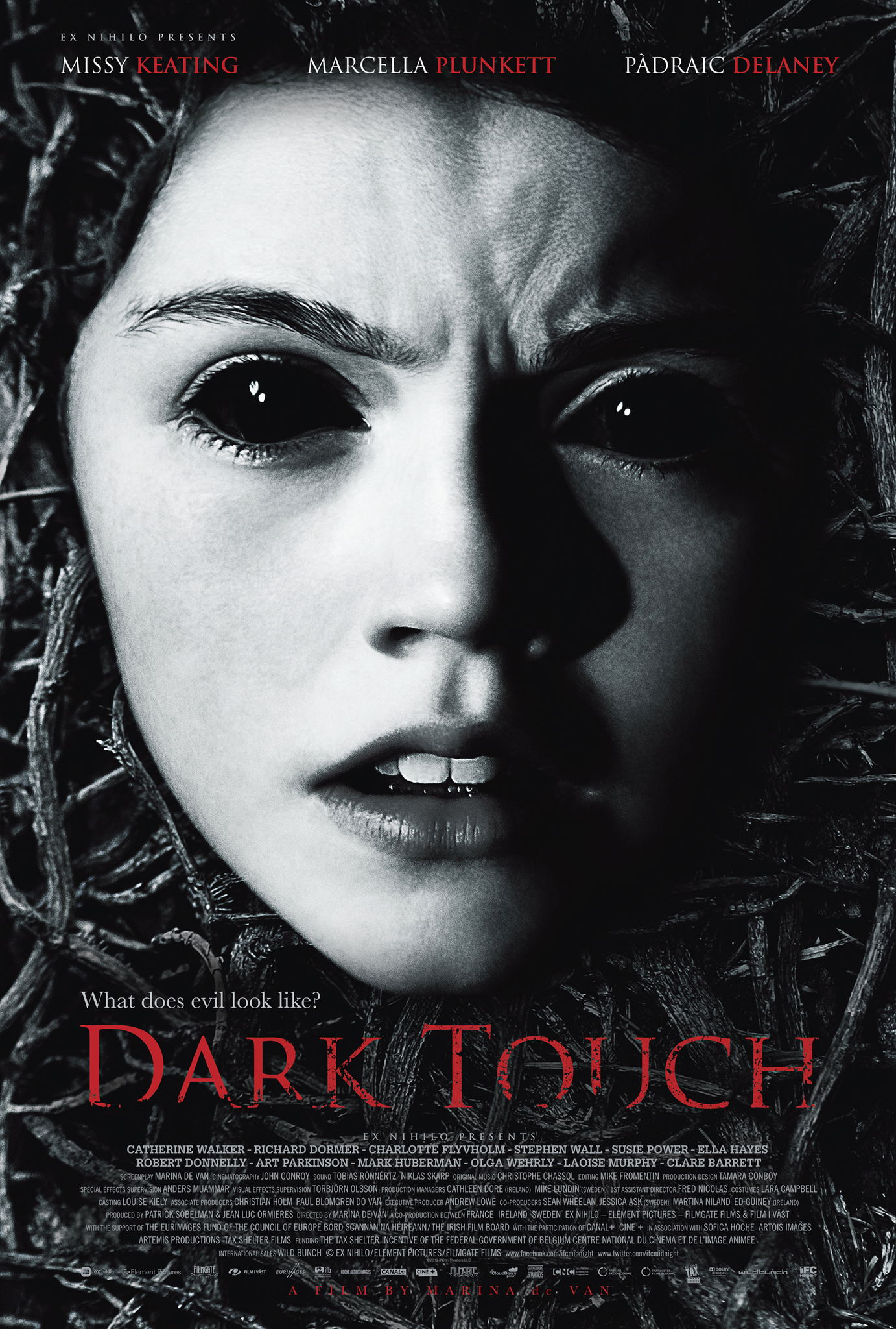 Dark Touch Main Poster