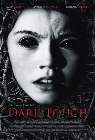 Dark Touch (2014) Main Poster