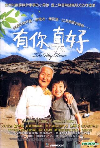 The Way Home (2002) Main Poster