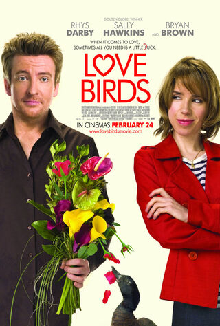 Love Birds (2011) Main Poster