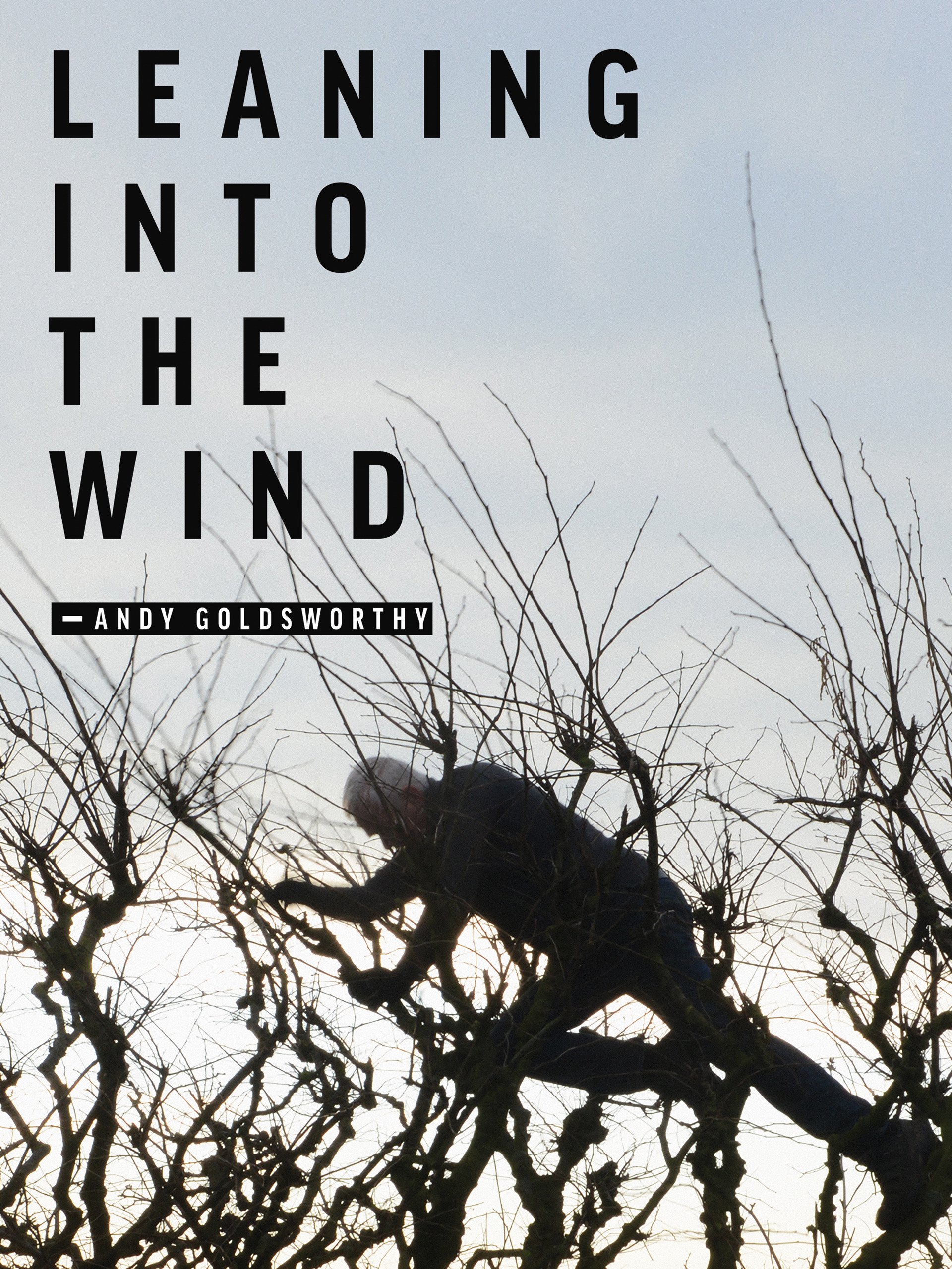 Leaning Into The Wind Main Poster