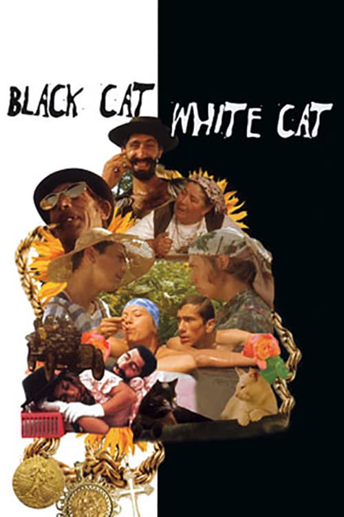 Black Cat, White Cat Main Poster