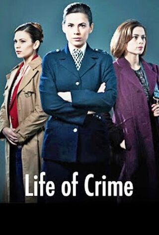 Life Of Crime (2014) Main Poster