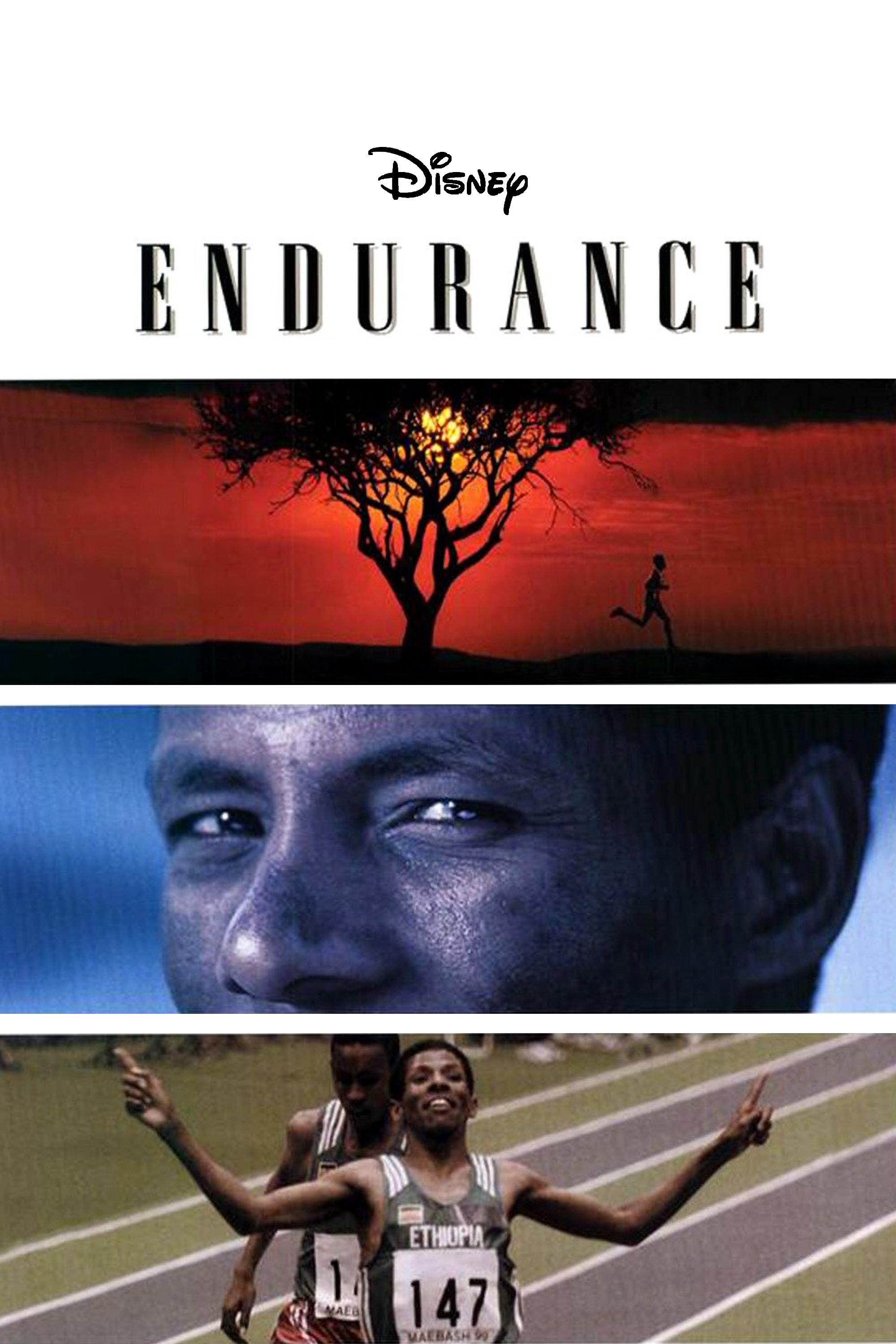 Endurance Main Poster