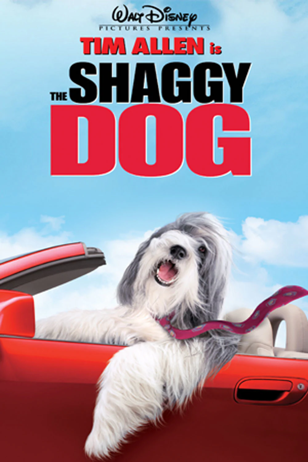 The Shaggy Dog Main Poster