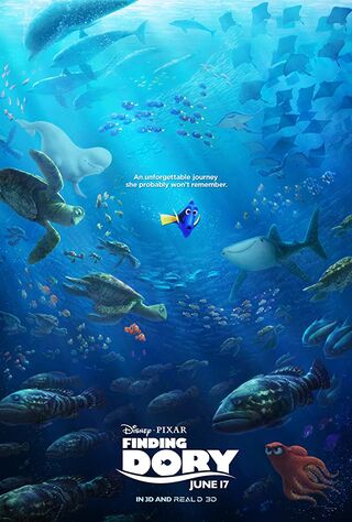 Finding Dory (2016) Main Poster
