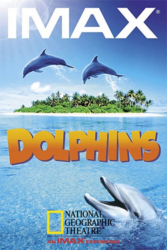 Dolphins (2000) Main Poster