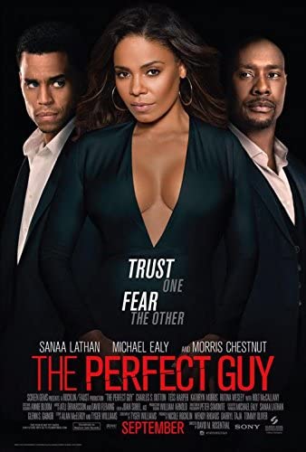 The Perfect Guy (2015) Main Poster