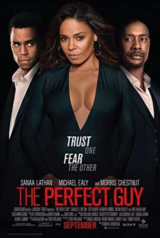 The Perfect Guy (2015) Main Poster