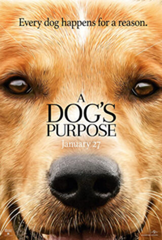 A Dog's Purpose (2017) Main Poster