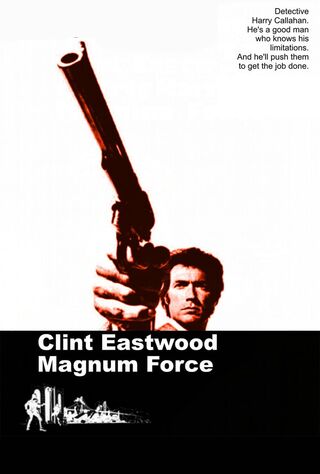 Magnum Force (1973) Main Poster