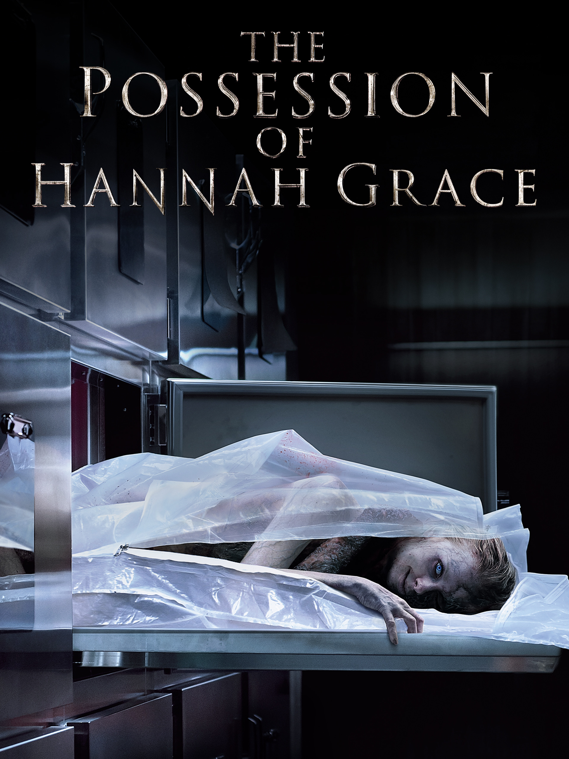 The Possession Of Hannah Grace Main Poster