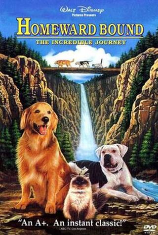 Homeward Bound: The Incredible Journey (1993) Main Poster