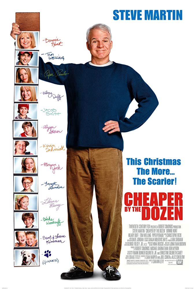 Cheaper By The Dozen Main Poster