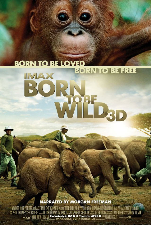Born To Be Wild Main Poster