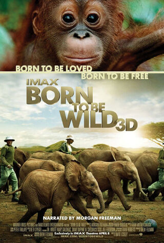Born To Be Wild (2011) Main Poster
